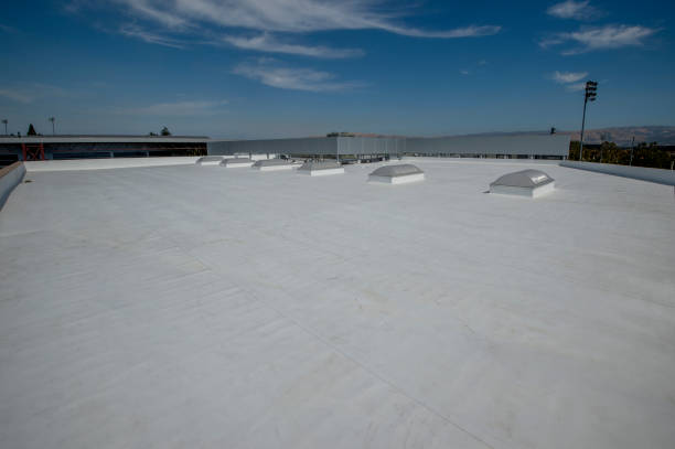 Best Asphalt Shingle Roofing  in Enfield, NC